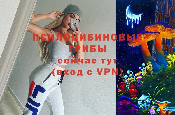 ALPHA-PVP Баксан