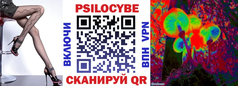 Псилоцибиновые грибы Psilocybe  Боровичи 